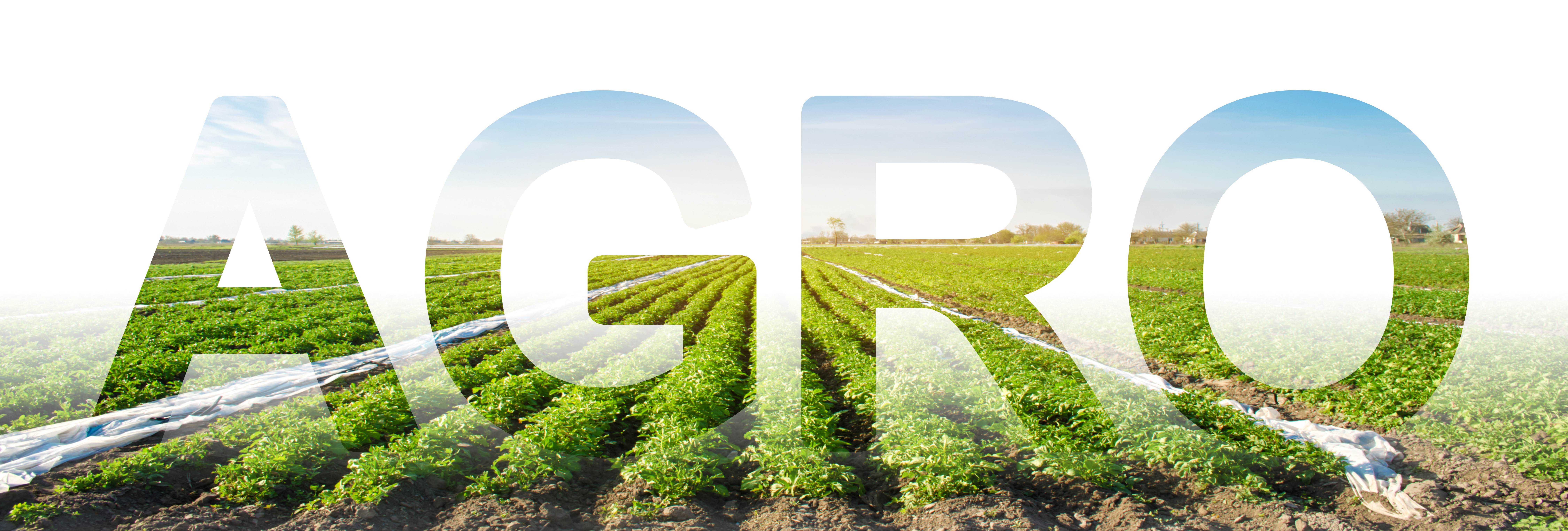 Agribusiness Translation Services Calgary Translations